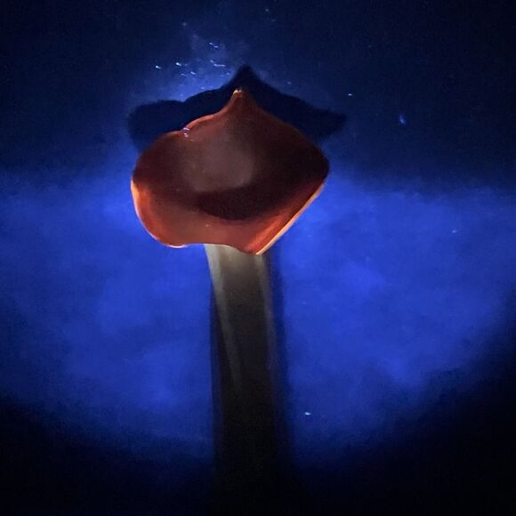 Murano Style Calla Lily Jack In the Pulpit Vase Art Glass Flower Orange Vintage - Picture 3 of 12